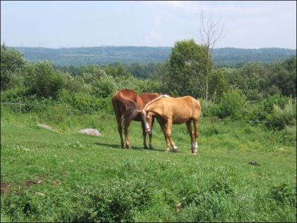 Nathan à gauche et Jenny à droite, les deux vieux dans le champ...