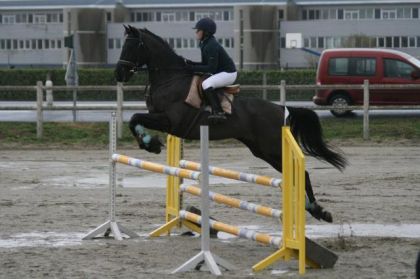 J'adore son style à l'obstacle ! Tellement puissant que j'ai du...