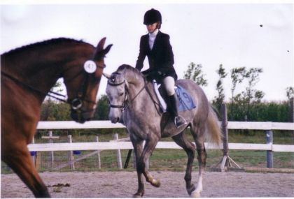 En réchauffement pour le dressage en 2005