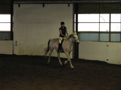 Beau et moi encore...! Super concentrer!