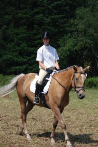 crystale warm up dressage tandalee 19,20 juillet