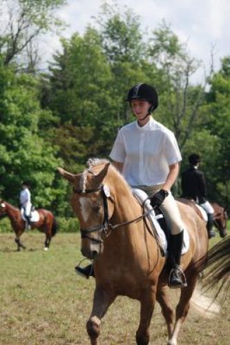 crystale warm up dressage tandalee 19,20 juillet