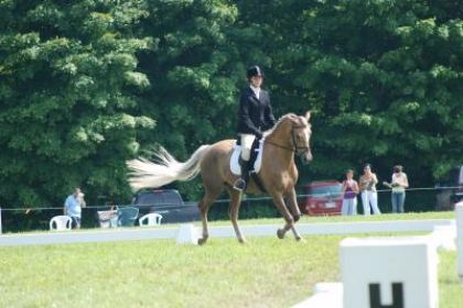 dressage tandalee 19,20 juillet crystale 3 ième
