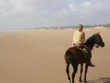 Sur la plage, pres d'Essaouira, dans l'attente d'un bon galop.