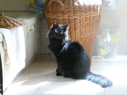 Je la trouve belle cette pic-là ;)