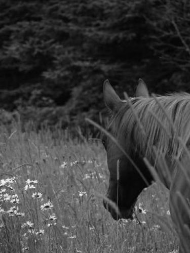 photo par Chantal!