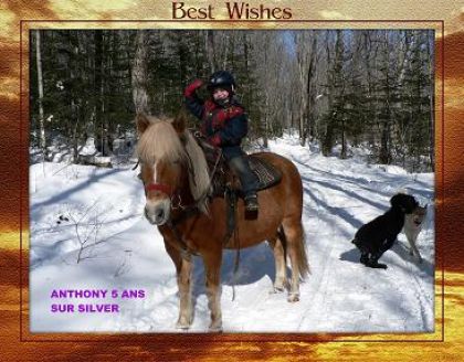 Jeune cavalier de 5ans sur un cheval
