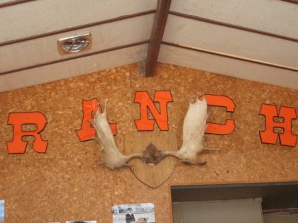 Voici une très jolie bannière dans le Club-House!!! :-/