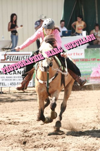 écurie royal 2008