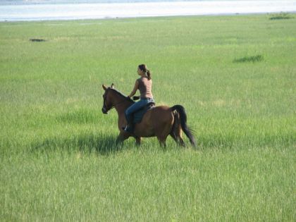 Ballade au fleuve a cheval