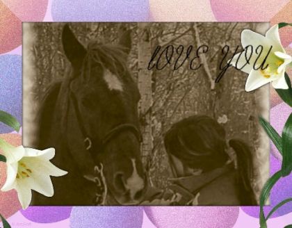 MONTAGE DE MOI ET  Mon cheval