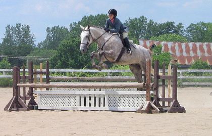 mon ti loup! premiers show!! comme un grand!