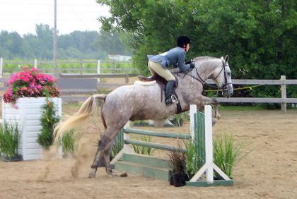 Saut d'obstacle en concours