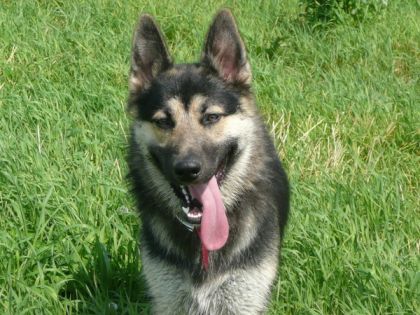 Dakota qui souffle un peu !!