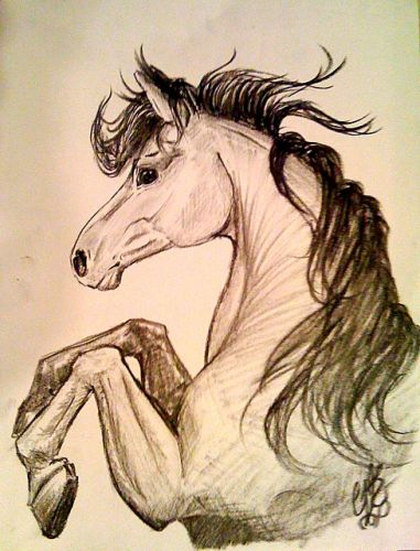 S'était mon deuxième choix pour le concours de dessin,...