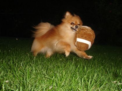 Ma joueuse de football lol!