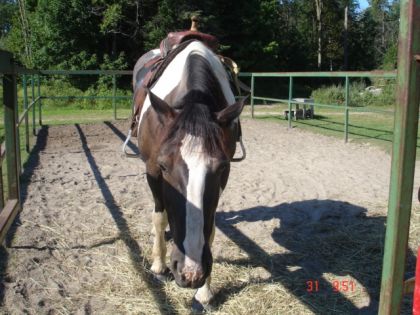 photo par bebee