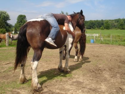 deux belles paires de fesses lol!