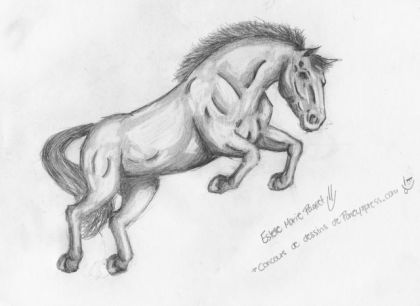 dessin que j'ai fni hier au plomb... lol j'ai étée un peu fort...