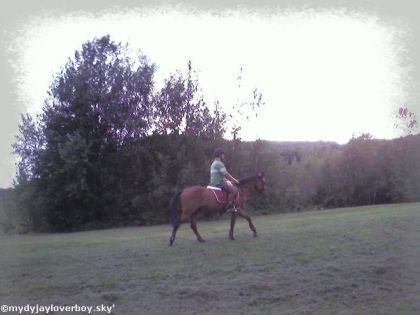 Mon poulain avec mon entraineur durant leur première trail :)...