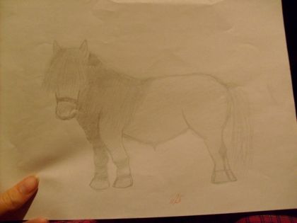Un de mes nombreux essai on dit qu'on devien meilleur en...
