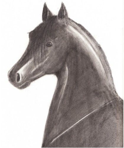 Vous pouvez m'aider a choisir entre mes 3 dessins svp? ^^...