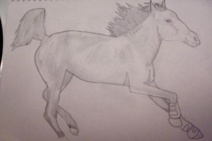 Petit dessin de Tékitoi !
