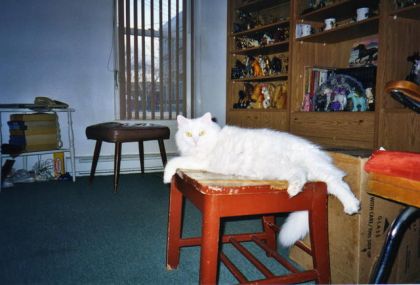 Je vous envoie une photo de Barzoune