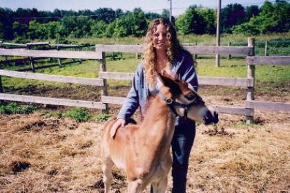 Un fille et un poulain