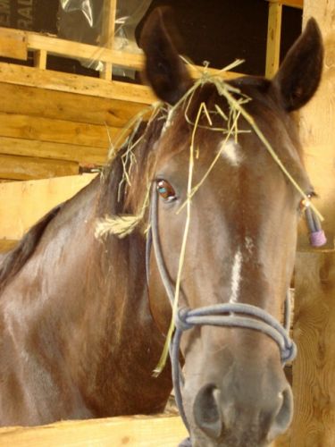 photo par gelibine