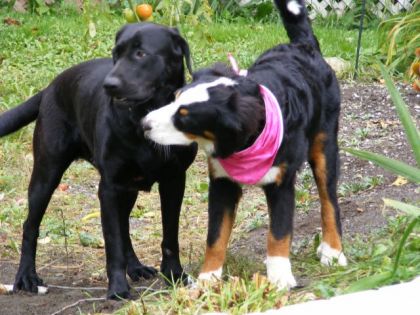 Mes 2 bébés ensemble !