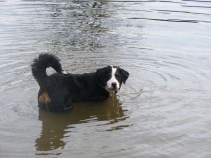 Ma belle Fiona dans l'eau, dire qu'elle avait peur de l'eau la...