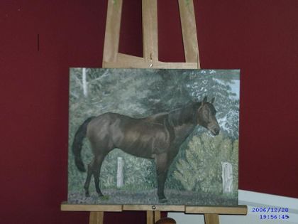 peinture de mon cheval