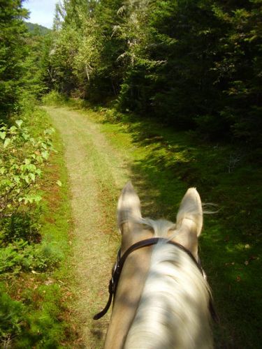 Un apercu des trails à ma nouvelle écurie!!!!