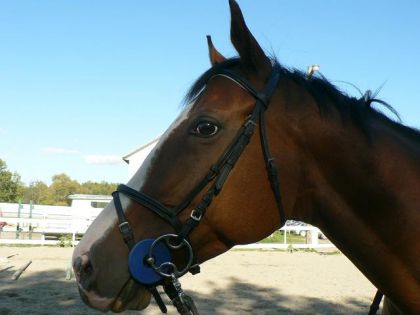 oohh ma grosse face !! :)