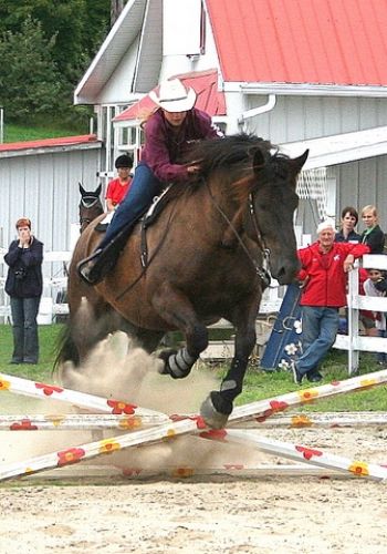 voici mon gros qui saute tout croche l'obstacles ....dissons...