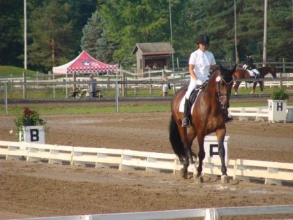 Beaulieu dressage