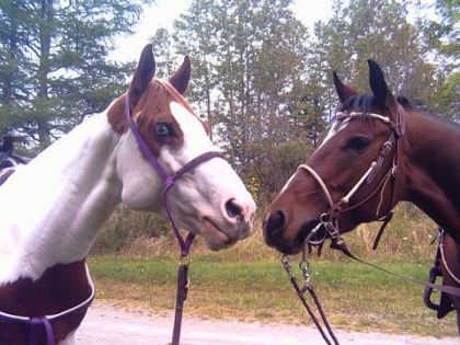 Aramis et Skip ste photo la me fais capoter elle est vraiment...
