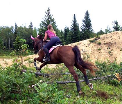 Une branche! vite vite!!! faut la sauter!!!! LOL . ;)