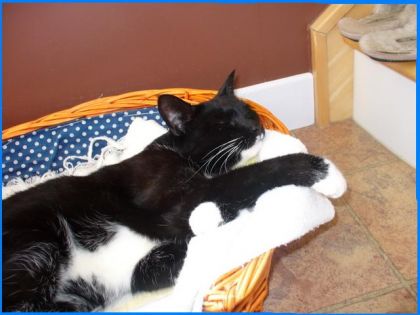 Je crois quelle dord bien ma tite chatte fripou!;):)