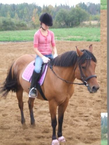 Petite Paude :) Bien m&eacute;rit&eacute;