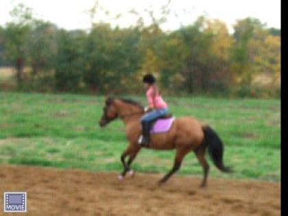 Au galop Avent un saut