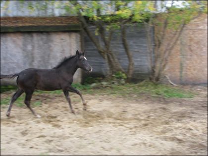 photo par Dostie Navarro 3 mois en pleine forme...