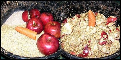 Haa le temps des pommes!!! Voici le dessert préféré à ma jument!...
