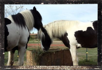 Une Autre Belle Photo :)