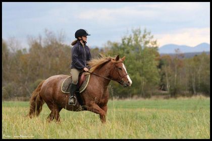 Ahhhh c'est dernieres belles rando d'automne avec notre cheval!!!