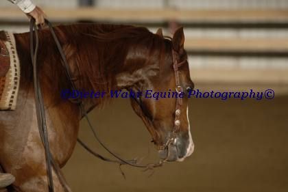 photo par reinner tete
