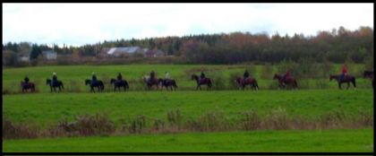 Rando des 4 fers. On dirait une bande tapisserie. LOL .