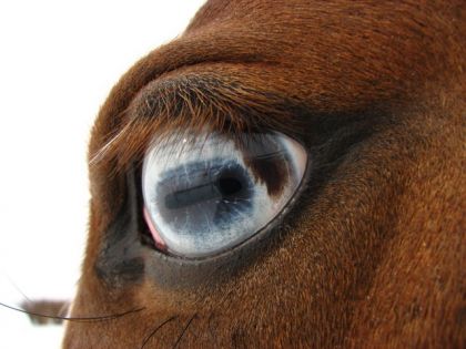 quel regard