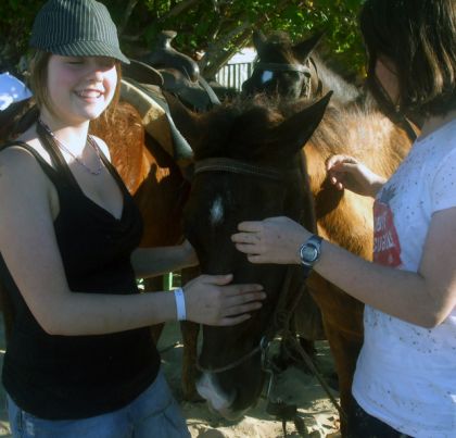 aprés une rando de bugy, nous avons rencontrer des chevaux.